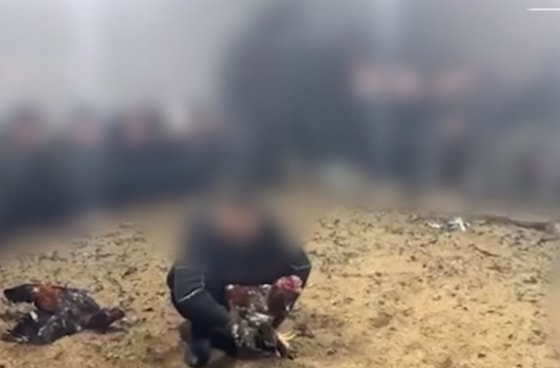 Кадр из видео