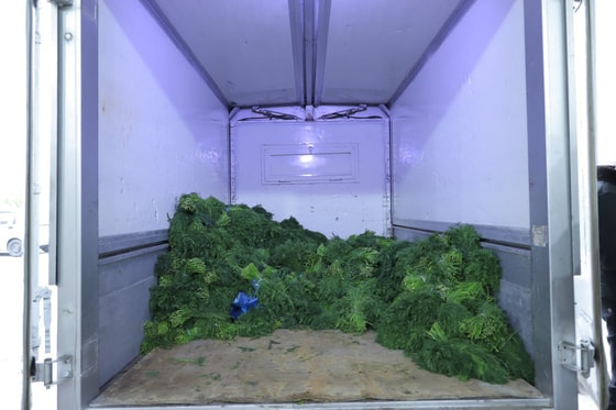 Фото: Таможенное управление Ташобласти