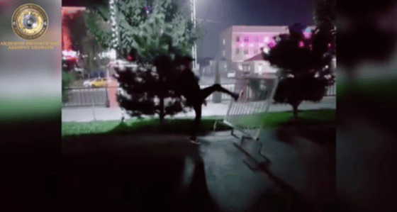 Фото: Кадр из видео