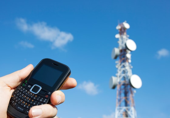 Фото: газета-пригород.рф