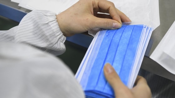 Фото: Новости России