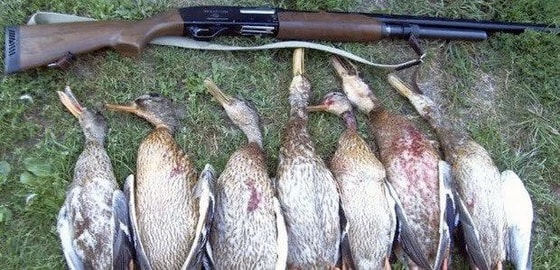 Фото: Иллюстративное/nk.org.ua