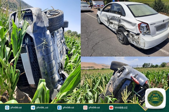 Фото: ГУБДД