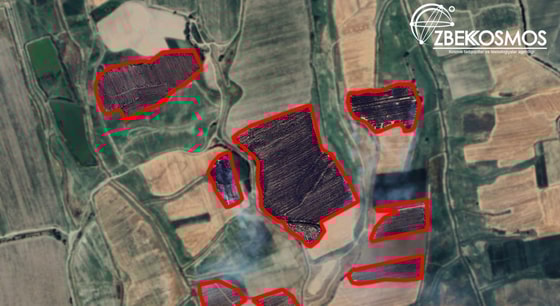 Фото: «Узбеккосмос»