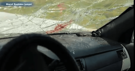 Кадр из видео