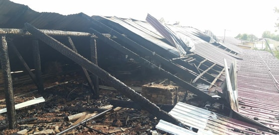 Фото: Пресс-служба Управления чрезвычайных ситуаций Ташкента