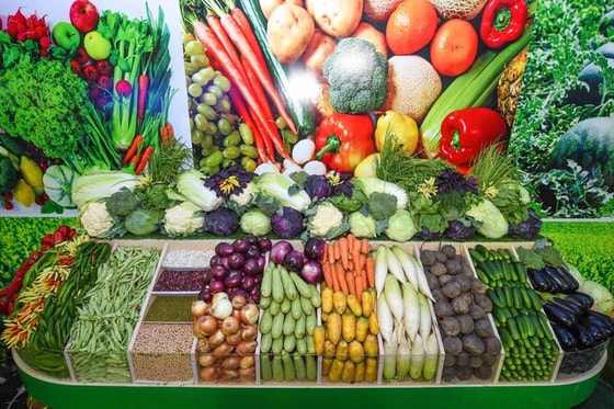 Фото: Ёлкин Шамсиддинов / УзА