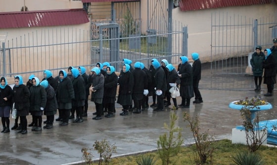 Фото: Ситуативное / Kun.uz