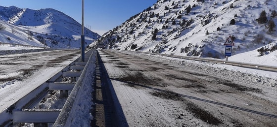 Фото: ГУБДД