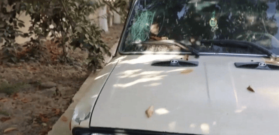 Кадр из видео