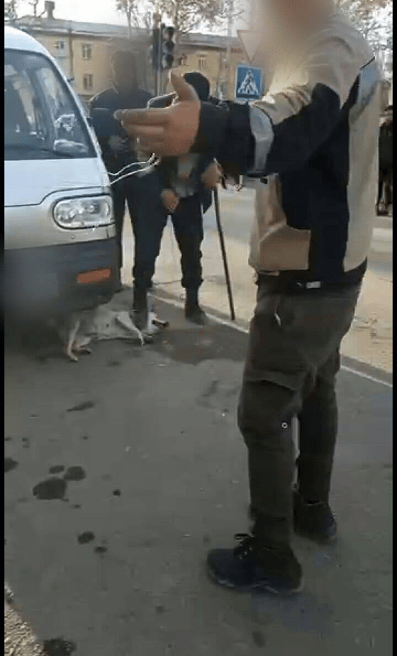 Фото:&nbsp;Mehr va Oqibat