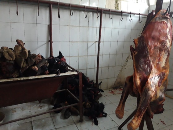 Фото: Санэпидслужба