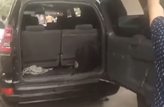 Кадр из видео