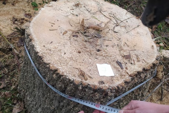 Фото: Хокимият Ташкентской области