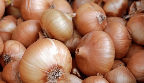 Фото: Открытые источники