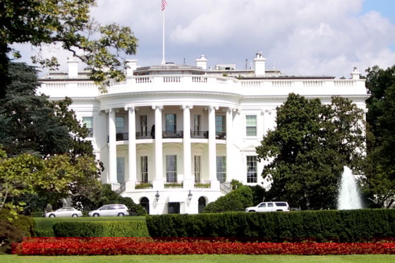 Фото: Открытые источники