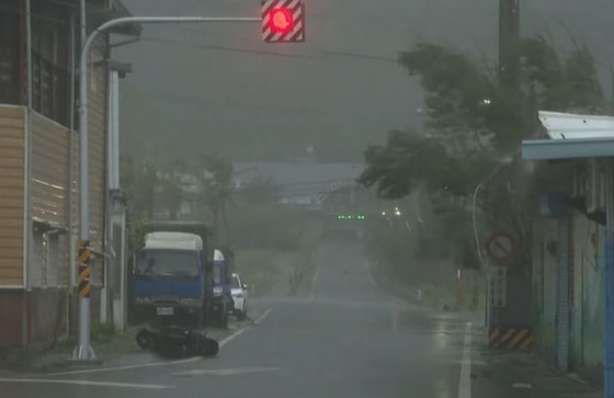 Кадр из видео