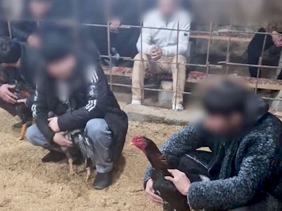 Кадр из видео