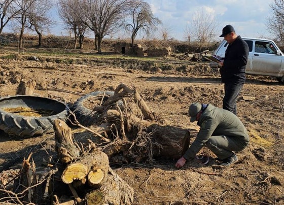Фото: Минэкологии