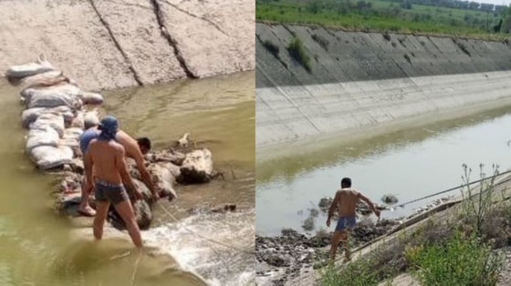 Фото: Управление экологии Самаркандской области