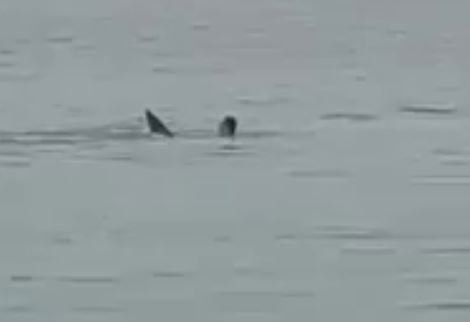 Кадр из видео