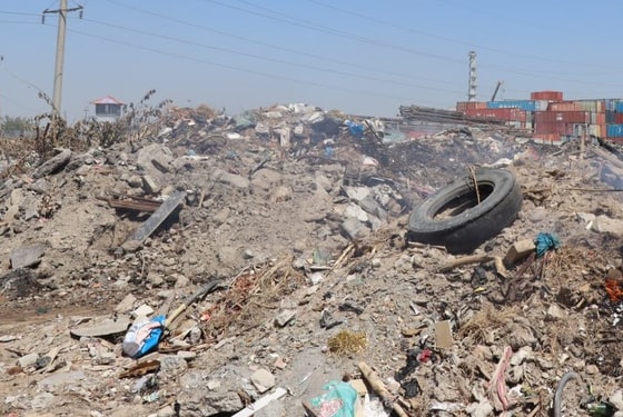 Фото: Открытые источники