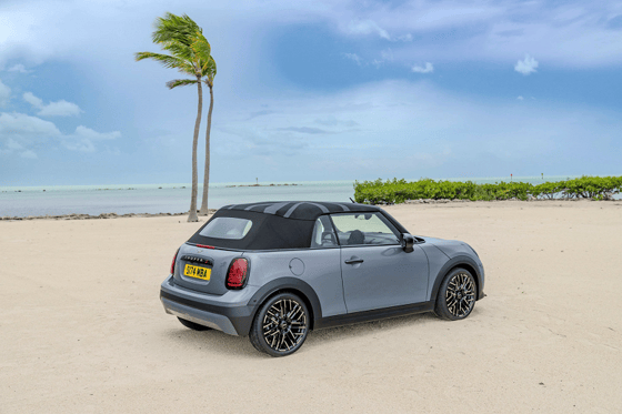 Фото: Mini
