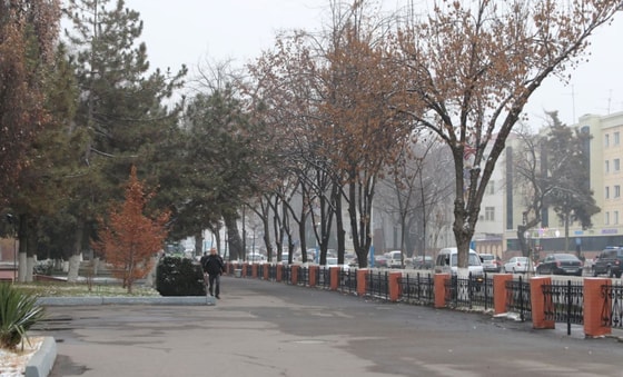 Фото: TezNews&nbsp;