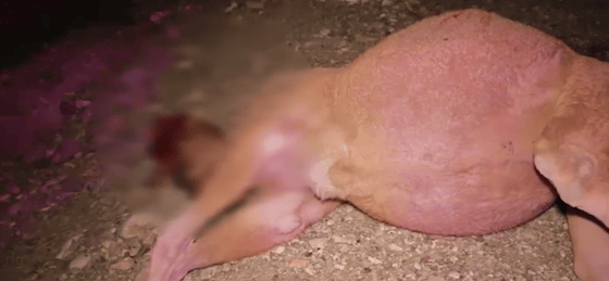 Кадр из видео