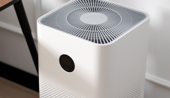 Фото: Открытые источники