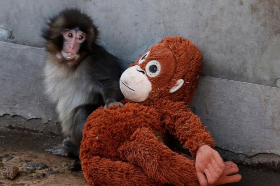 Фото: Reuters