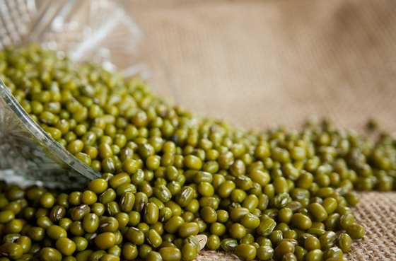 Фото: Открытые источники