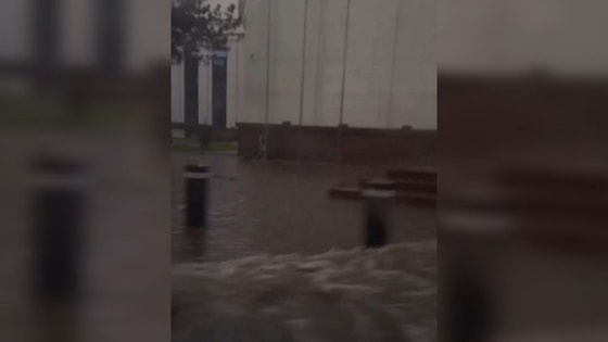 Кадр из видео