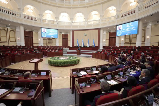 Фото: Законодательная палата&nbsp;