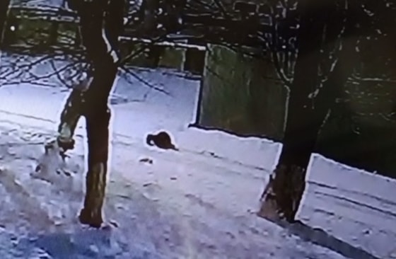 Кадр из видео