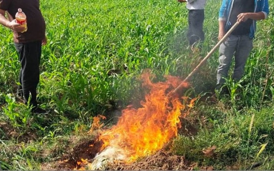 Пресс-служба МВД&nbsp;