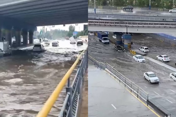 Фото: Кадры из видео