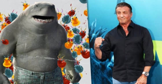 Фото: vgtimes.ru