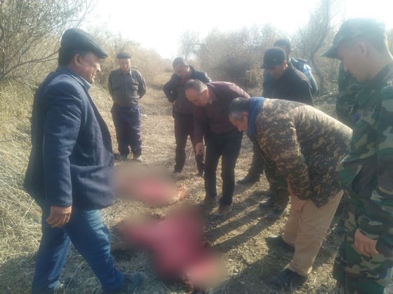 Фото: пресс-служба Комитета по экологии Каракалпакстана