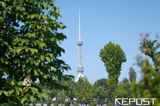 Фото: Repost.uz