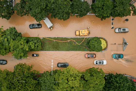 Фото: Global Times