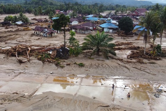 Фото: The Guardian