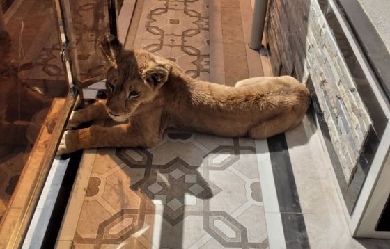 Фото: Госкомэкологии