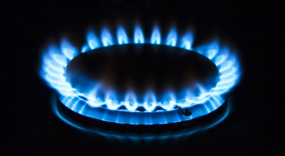 Фото:&nbsp;Shutterstock