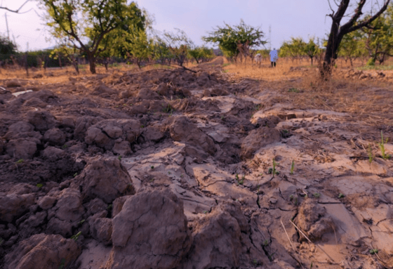 Фото: Минсельхоз Узбекистана