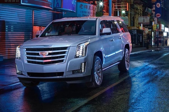 Фото: Чемпионат