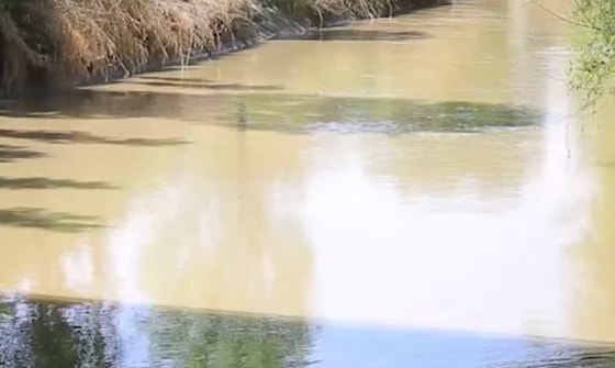 Кадр из видео