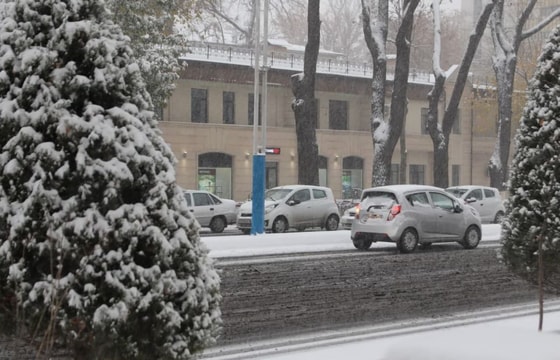 Фото: TezNews&nbsp;