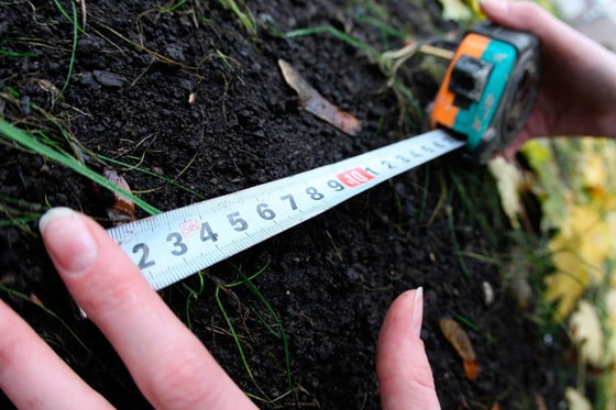 Фото: kras.mk.ru