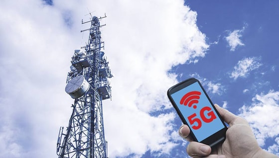 Фото:&nbsp;c01.comments.bot